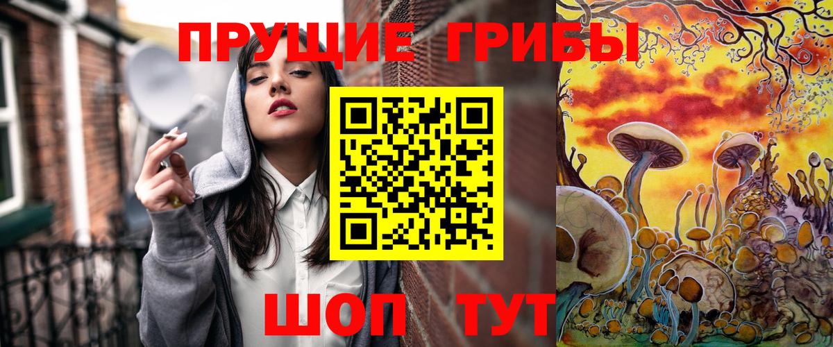 Красногорск  Галлюциногенные грибы Psilocybe  где найти наркотики  Вход с VPN 